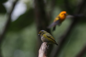 NATURALEZA, VIDA Y DETALLES EN UN RECINTO DE LOS SUEÑOS