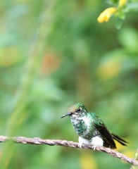 NATURALEZA, VIDA Y DETALLES EN UN RECINTO DE LOS SUEÑOS