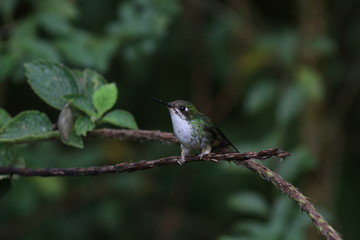 NATURALEZA, VIDA Y DETALLES © Luisalfonso