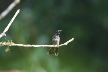 NATURALEZA, VIDA Y DETALLES