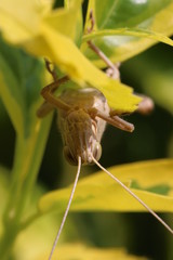 NATURALEZA, VIDA Y DETALLES