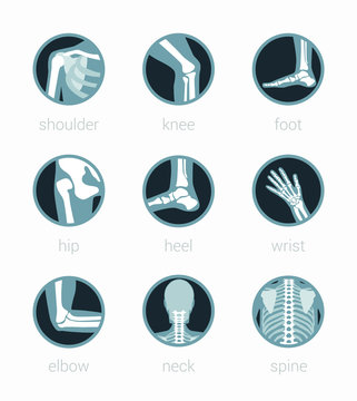 Anatomy Icon Rehabilitation Spine Neck Elbow Wrist Heel Hip Foot Knee Shoulder