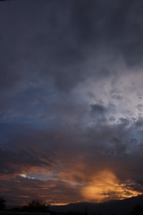 NATURALEZA, VIDA Y DETALLES