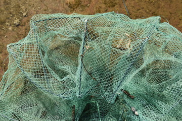 Green crayfish nets are scattered on a concrete slab moistened with water.