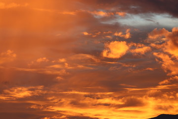 NATURALEZA, VIDA Y DETALLES