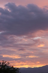 NATURALEZA, VIDA Y DETALLES