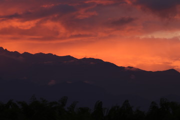 NATURALEZA, VIDA Y DETALLES