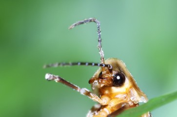 Naturaleza, vida y detalles