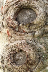 Naturaleza, vida y detalles