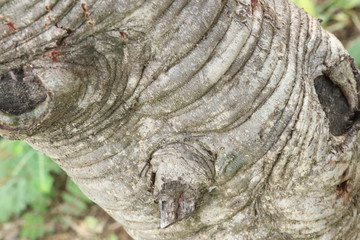 Naturaleza, vida y detalles