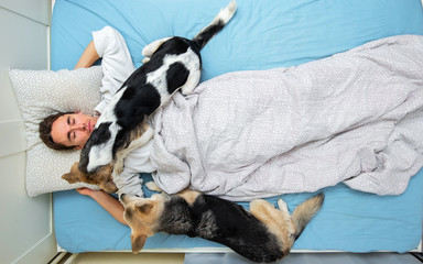 Shepherd dog lying with male on bed at home