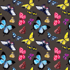 Butterflies. Seamless pattern with tropical butterflies in night. Watercolor on dark background