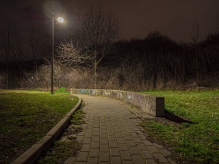 park in the night lamp
