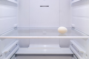 one white egg on a shelf in an empty refrigerator