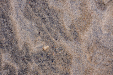 Sand photographed in Vitoria, capital of the Espirito Santo state, Southeast of Brazil. Atlantic Ocean. Picture made in 2018.