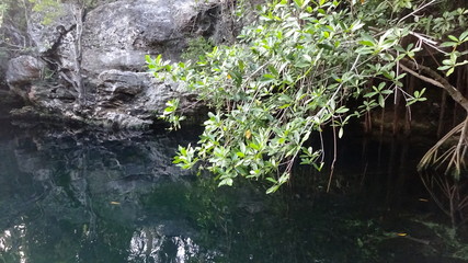 Senote is a cave where you can swim. It's a cenote Cristallino in Mexico.