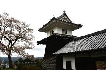Fototapeta premium 岩村城跡 桜