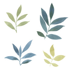 Set of painted watercolor leaves. isolated leaves on a white background. Watercolor leaves for printing, packaging, cards. botanical elements