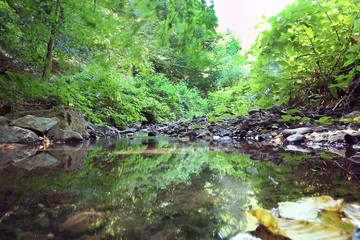 Mountain River in the wood . Forest with waterfall deep rain forest and river stream . Fast jet of water at slow shutter speeds give a beautiful fairy-tale effect. River stones . Azerbaijan, Ismayilli