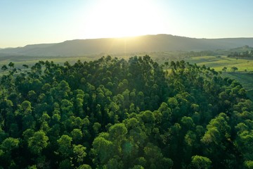 Fototapeta premium Aerial view of rural life scene. Great landscape. Countryside scenery.