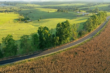 Fototapeta na wymiar Aerial view of rural life scene. Great landscape. Countryside scenery.