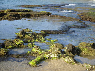 Photo on the coral beach with a beautiful sea in the background