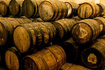 Wine barrels on old cellar