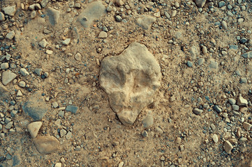 The texture in the form of a face of an alien on a natural stone.