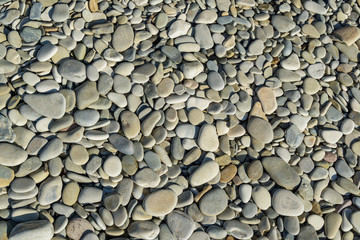 Gray pebbles as nature background. Beautiful sea stones of different sizes. Excellent natural concept for any design. Selective focus.