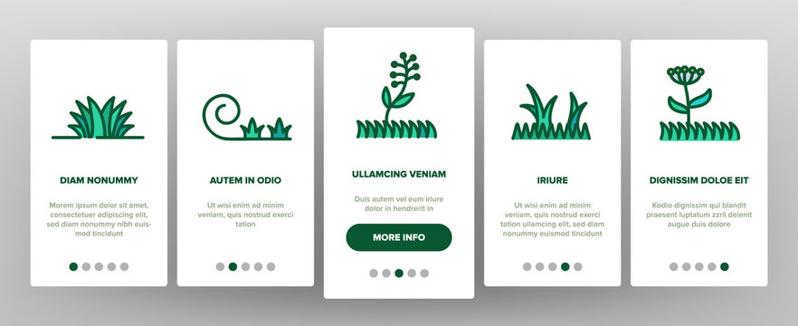 Grass Meadow Plant Onboarding Icons Set Vector Garden Natural Glass With Mark Non-feet, No Animal, Growth Botanical Herb Illustrations