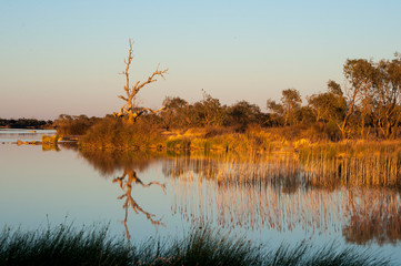  The Diamantina river at Birdsville, Queensland, Australia.