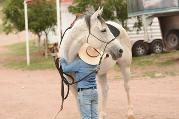 Niños, caballos, caballo, 