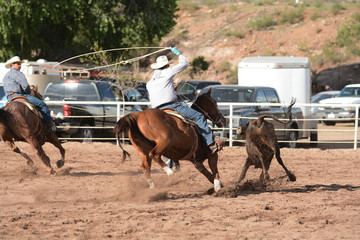 Vaquero, cowboy, lazador, rodeo