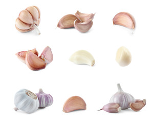 Set of fresh garlic on white background