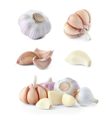 Set of fresh garlic on white background