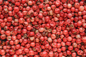 peppercorns red.Close up of Rainbow colourful peppercorns on a black slate background