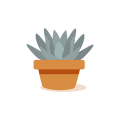 Isolated cactus icon