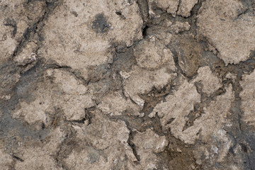 Cracked dried soil. The effects of global warming.