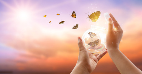 The girl frees the butterfly from the jar, golden blue moment Concept of freedom © sarayut_sy