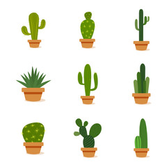 Set of cactus in a potplants