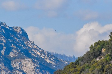 Eagle soaring in mountainsc2020Rachelle