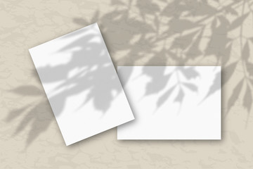 2 sheets of white textured paper against a gray wall. Mockup with an overlay of plant shadows. Natural light casts shadows from the tree's foliage. Flat lay, top view