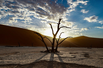 Namibia Africa