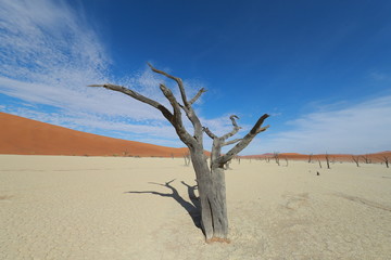 Fototapeta na wymiar Namibia Africa