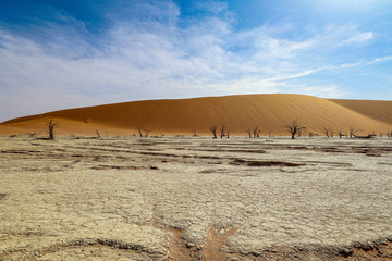 Obraz premium Namibia Africa