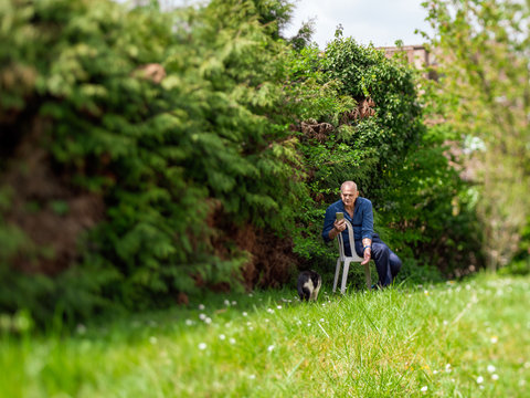 Tilt-shift photo of a senior man sitting in white chair in beautiful garden playing with a cat taking photos on smartphone