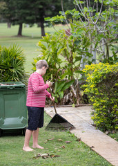 young blond boy in red striped shirt is cleaning the yard with a rake.
