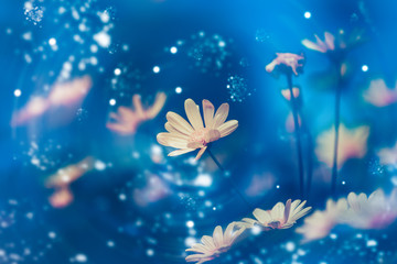 dramatic flower background; Nature Background