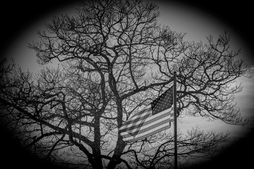 american flag in front of a tree