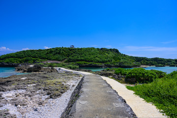 沖縄県 宮古島 イムギャーマリンガーデン